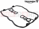 Triumph 2013 THUNDERBIRD STORM Těsnění - víko hlavy ventilu