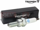 Triumph 2023 Trident 660 Svjećica