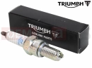 Triumph 2012 SPEED TRIPLE R > 735336 Spark plug