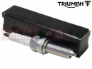 Triumph 2019 THRUXTON Bujie