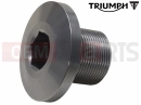 Triumph 2000 DAYTONA 595 / 955i Bolt, Front Spindle, Slv