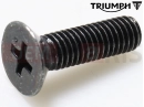 Triumph 1992 TRIDENT Screw, Reservoir