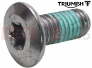 Triumph 2008 SPEEDMASTER EFI Bolt, Disc, M8 x 18, Slv