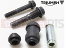 Triumph 2001 TT600 Mount Pin Set