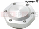Triumph 2018 TIGER 1200 XCX Nut, Upper Yoke