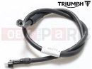 Triumph 2000 SPEED TRIPLE 885cc\955cc (EFI) > 141871 Speedometer cable