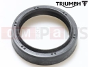 Triumph 2012 SPEED TRIPLE R > 735336 Simeringuri Furca