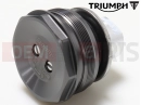 Triumph 2020 Thruxton RS Fork Bolt, P/Comp