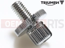 Triumph 2013 THRUXTON 900 EFI Adjuster Screw
