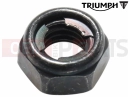 Triumph 2020 Speed Triple RS Nut, Pivot Bolt