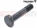 Triumph 2024 Scrambler 900 Pivot Bolt