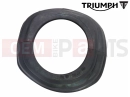 Triumph 2019 TIGER 1200 XCA Rubber Boot, Rear