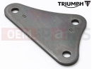 Triumph 2012 Tiger 1050 Plate, Drop Link, Blk