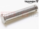 Triumph 2020 Thruxton RS Pin, Pivot, Footrest