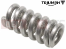 Triumph 2024 SCRAMBLER 1200 X Spring, Detent