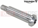 Triumph 2001 LEGEND TT Pin, Gearchange