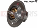 Triumph 2019 THRUXTON R Termostat