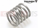Triumph 2017 Tiger 800 674842 > TIGER XRT Spring