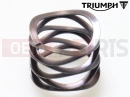 Triumph 2020 Tiger 800 XRT Wave Spring, Crest to Crest