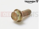 Triumph 2014 THUNDERBIRD LT Screw, M6 x 1.0 x 16
