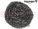 Triumph 2017 THRUXTON R Filter, Fuel Pump Baffle