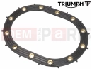 Triumph 2013 SCRAMBLER EFI Seal, Fuel Pump Plate, E25