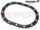 Triumph 2012 SPEEDMASTER EFI Seal, Fuel Pump Plate, E25