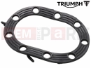 Triumph 2020 Thruxton RS Tömítés (Fuel Pump Plate)