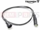 Triumph 2007 THRUXTON 900 CARBS Subharness, Neutral