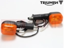 Triumph 1993 SPRINT CARBS Indicator Spares Kit