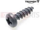 Triumph 2013 Tiger 1050 Vijak