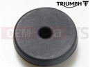 Triumph 2023 Thruxton RS Stop, Sidestand