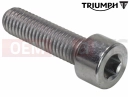 Triumph 2013 THUNDERBIRD Screw, Cap/Hd, M8 x 30, Slv