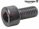 Triumph 2015 THUNDERBIRD COMMANDER Screw, Cap/Hd, M5 x 10, Slv