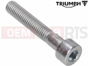 Triumph 2017 THRUXTON Screw, Cap/Hd, M5 x 30, Slv