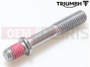 Triumph 2017 THRUXTON Stud, Shouldered, M8 x 55, Slv