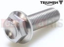 Triumph 2022 Trident 660 Schraube