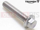 Triumph 2011 ROCKET III TOURING Bolt, M6 x 30, Silver