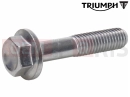 Triumph 2007 SCRAMBLER EFI Schraube