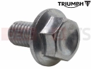 Triumph 2010 THUNDERBIRD Bolt, HHF, M8 x 14, Slv