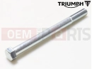 Triumph 2014 SPEEDMASTER EFI Bolt, M10x120, Slv