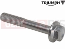 Triumph 2010 THUNDERBIRD Bolt, HHF, M8 x 50, Slv