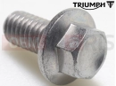 Triumph 2013 THUNDERBIRD Bolt, HHF, M6 x 12, Slv
