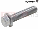 Triumph 2020 TIGER 900 GT Pro Csavar