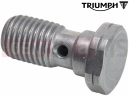 Triumph 2002 THUNDERBIRD Bolt, Banjo, M10 x 21