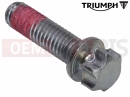 Triumph 1998 TRIDENT Bolt, Shear, M6 x 22, Enc