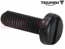 Triumph 2000 TT600 Screw, M5 X 16, Plastic