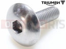 Triumph 2000 TROPHY 29156 > Csavar (M6x20)