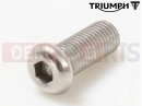 Triumph 2007 SPEEDMASTER EFI Screw, Btn/Hd, M10 x 24, S/S