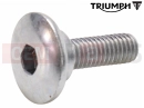 Triumph 2008 ROCKET III TOURING Vis (M6x21)
